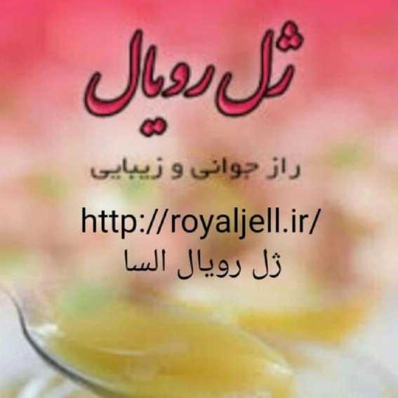 1711361938051.webp