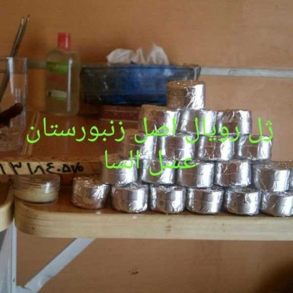 1711362132760.webp